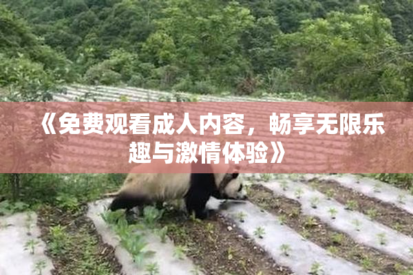 《免费观看成人内容，畅享无限乐趣与激情体验》