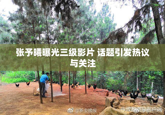 张予曦曝光三级影片 话题引发热议与关注