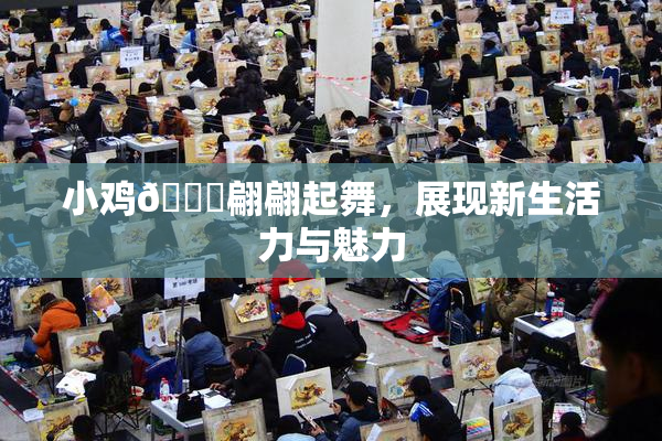小鸡🐔翩翩起舞，展现新生活力与魅力