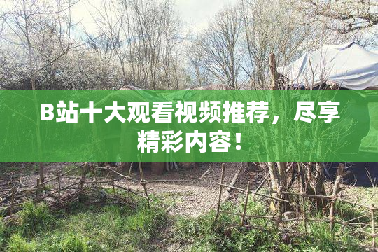 B站十大观看视频推荐，尽享精彩内容！