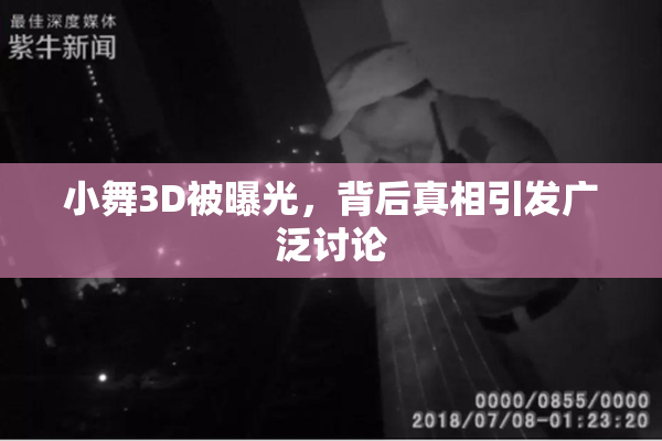 小舞3D被曝光，背后真相引发广泛讨论