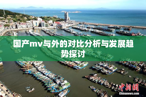 国产mv与外的对比分析与发展趋势探讨