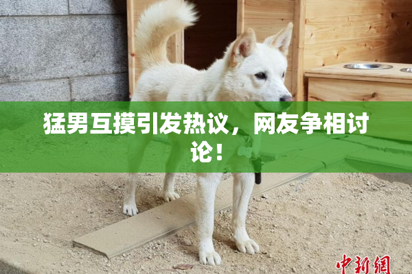 猛男互摸引发热议，网友争相讨论！