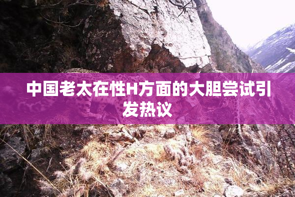 中国老太在性H方面的大胆尝试引发热议