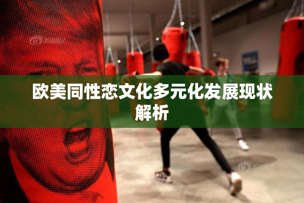 欧美同性恋文化多元化发展现状解析