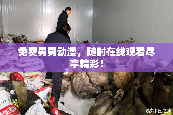 免费男男动漫，随时在线观看尽享精彩！