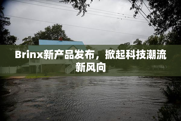 Brinx新产品发布，掀起科技潮流新风向