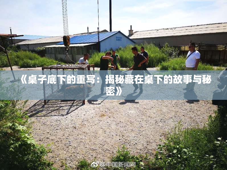 《桌子底下的重写：揭秘藏在桌下的故事与秘密》
