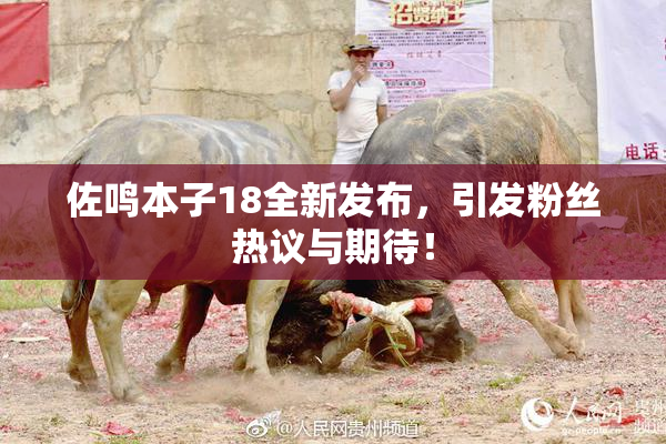 佐鸣本子18全新发布，引发粉丝热议与期待！