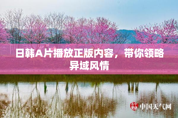 日韩A片播放正版内容，带你领略异域风情