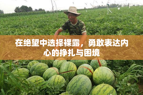 在绝望中选择裸露，勇敢表达内心的挣扎与困境
