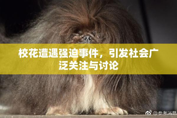 校花遭遇强迫事件，引发社会广泛关注与讨论