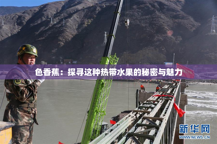 色香蕉：探寻这种热带水果的秘密与魅力