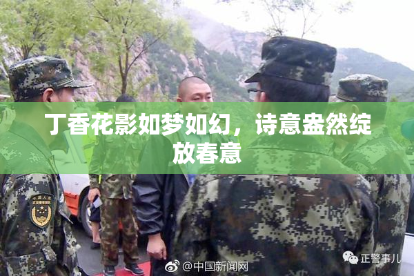 丁香花影如梦如幻，诗意盎然绽放春意