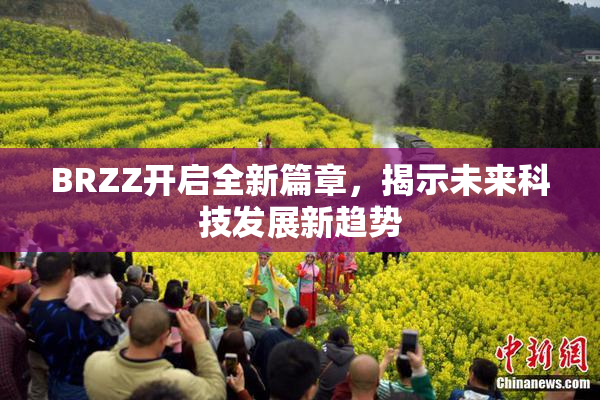BRZZ开启全新篇章，揭示未来科技发展新趋势