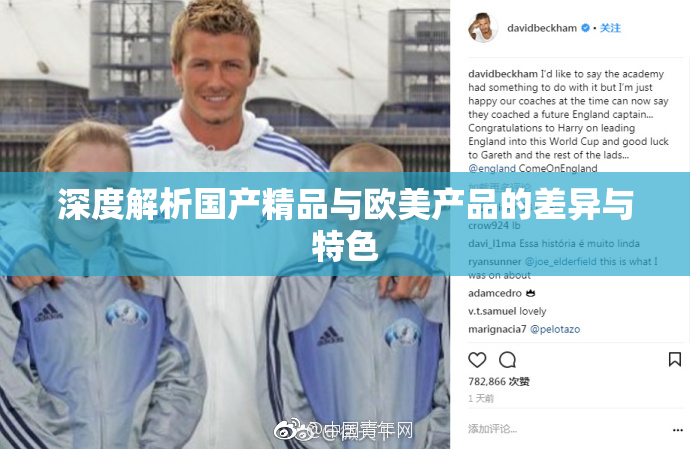 深度解析国产精品与欧美产品的差异与特色