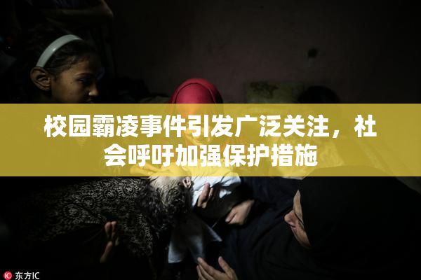 校园霸凌事件引发广泛关注，社会呼吁加强保护措施