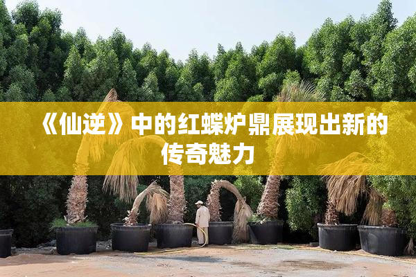 《仙逆》中的红蝶炉鼎展现出新的传奇魅力
