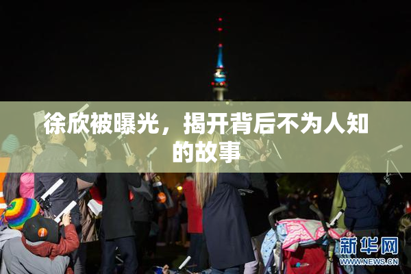 徐欣被曝光，揭开背后不为人知的故事