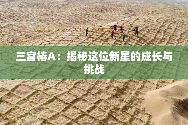 三宫椿A：揭秘这位新星的成长与挑战
