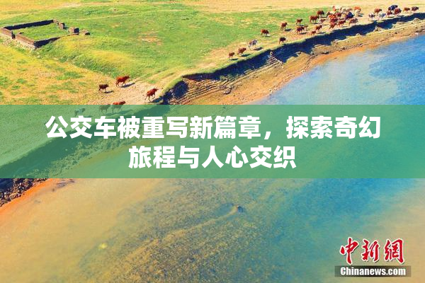 公交车被重写新篇章，探索奇幻旅程与人心交织