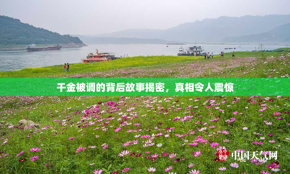 千金被调的背后故事揭密，真相令人震惊