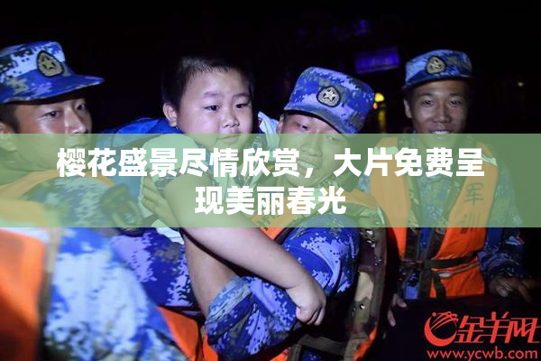 樱花盛景尽情欣赏，大片免费呈现美丽春光