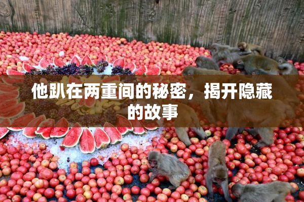 他趴在两重间的秘密，揭开隐藏的故事