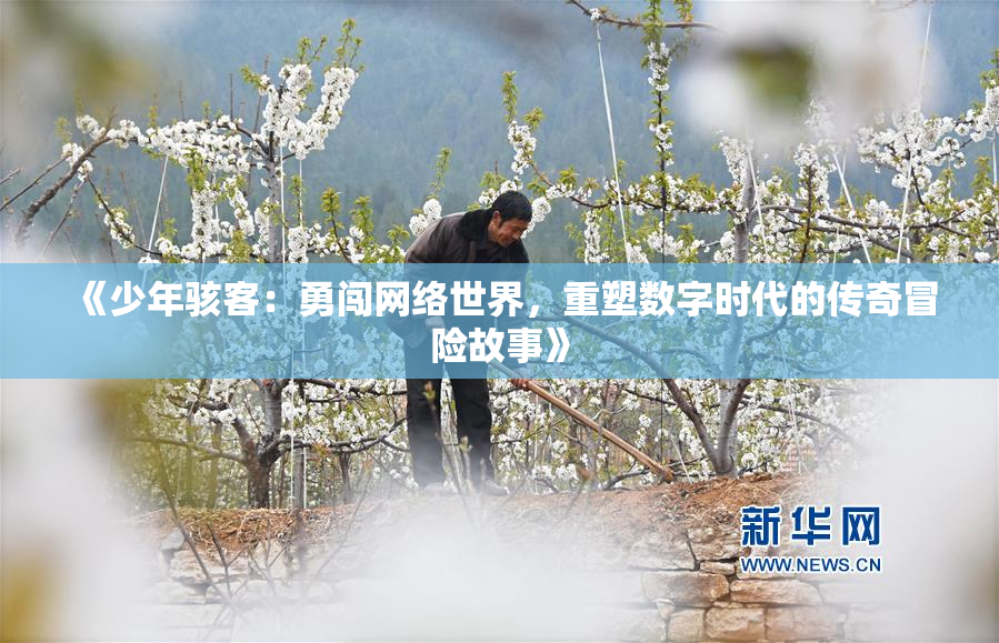 《少年骇客：勇闯网络世界，重塑数字时代的传奇冒险故事》