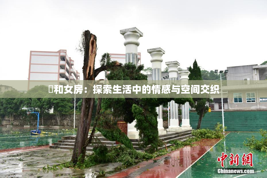 巜和女房：探索生活中的情感与空间交织