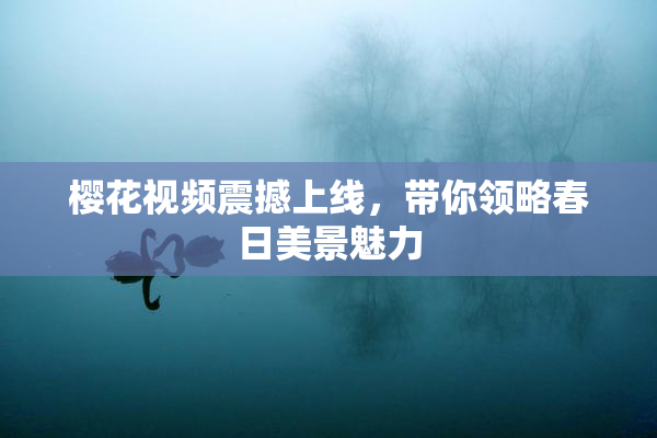 樱花视频震撼上线，带你领略春日美景魅力