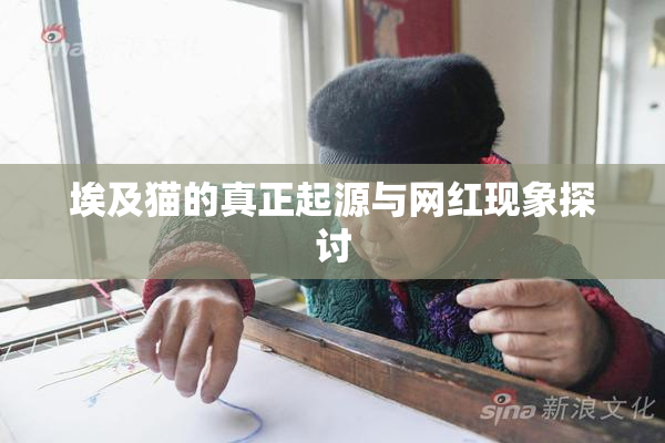 埃及猫的真正起源与网红现象探讨