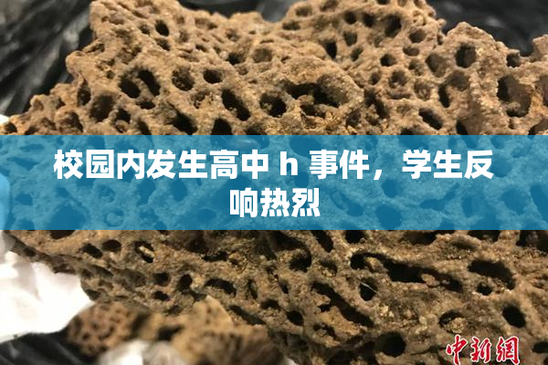 校园内发生高中 h 事件，学生反响热烈