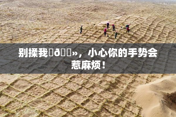 别揉我‌🐻，小心你的手势会惹麻烦！