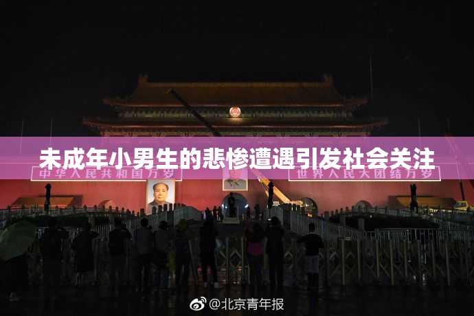 未成年小男生的悲惨遭遇引发社会关注
