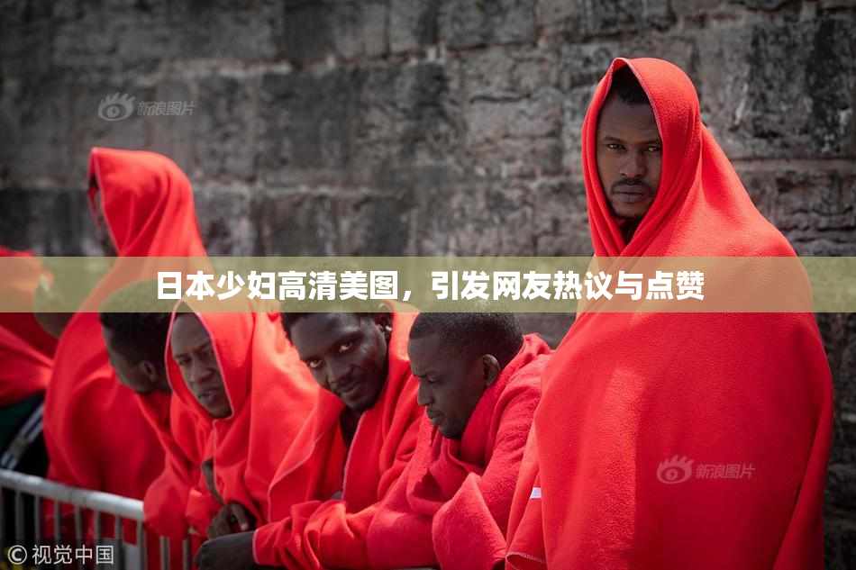 日本少妇高清美图，引发网友热议与点赞