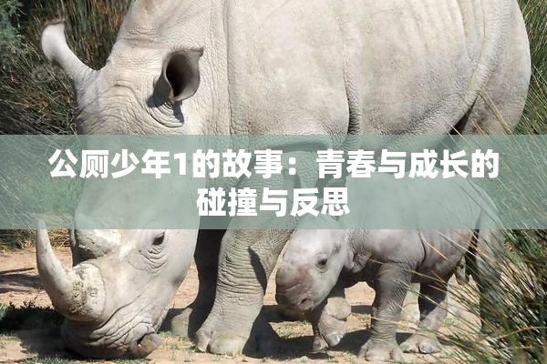公厕少年1的故事：青春与成长的碰撞与反思