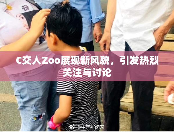 C交人Zoo展现新风貌，引发热烈关注与讨论