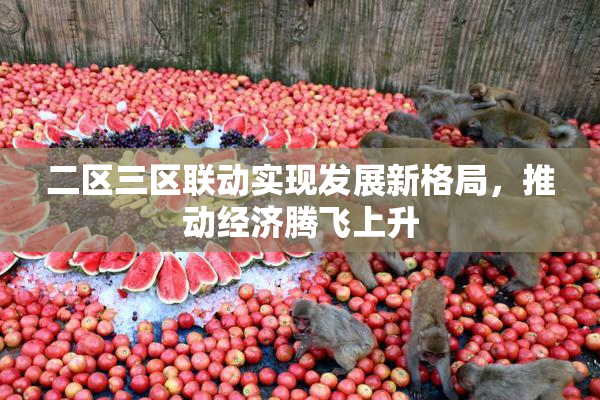 二区三区联动实现发展新格局，推动经济腾飞上升