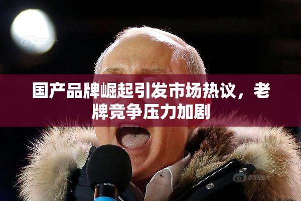 国产品牌崛起引发市场热议，老牌竞争压力加剧