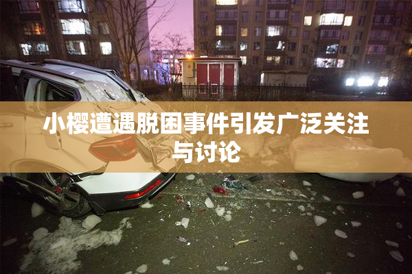 小樱遭遇脱困事件引发广泛关注与讨论