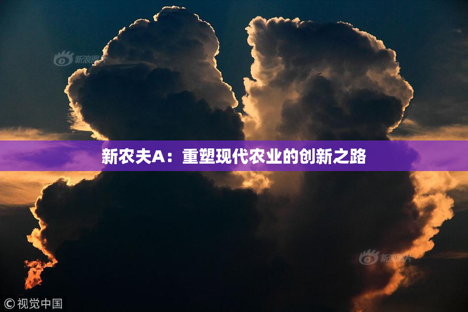 新农夫A：重塑现代农业的创新之路