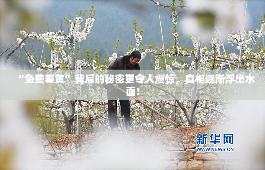 “免费看黄”背后的秘密更令人震惊，真相逐渐浮出水面！