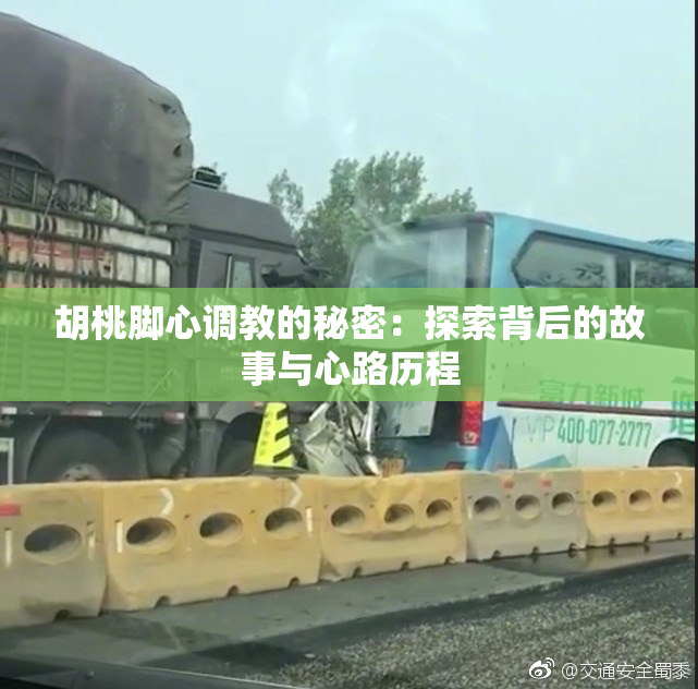 胡桃脚心调教的秘密：探索背后的故事与心路历程