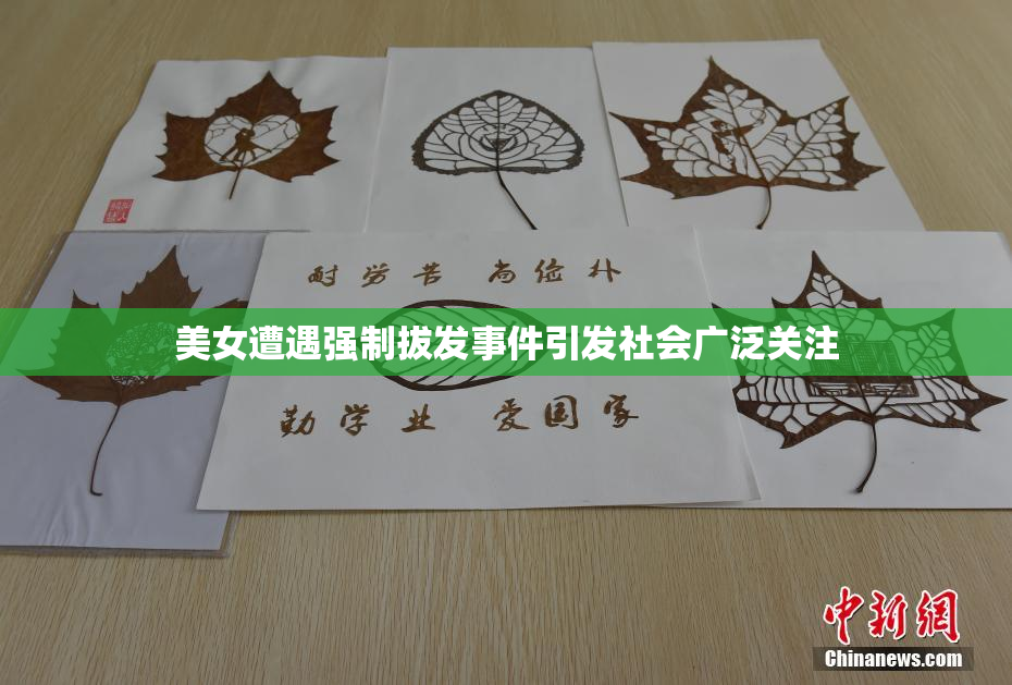 美女遭遇强制拔发事件引发社会广泛关注