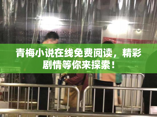 青梅小说在线免费阅读，精彩剧情等你来探索！