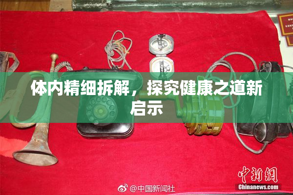 体内精细拆解，探究健康之道新启示