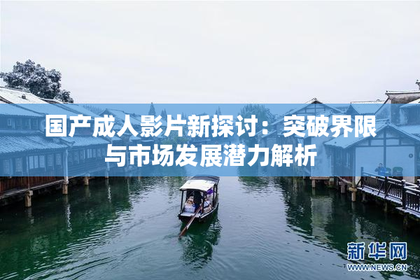 国产成人影片新探讨：突破界限与市场发展潜力解析