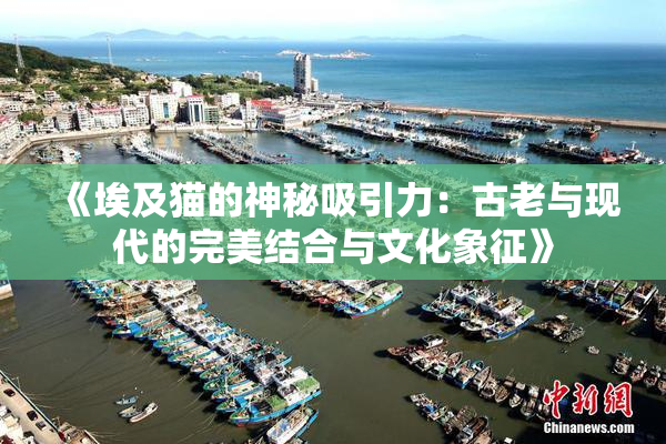 《埃及猫的神秘吸引力：古老与现代的完美结合与文化象征》