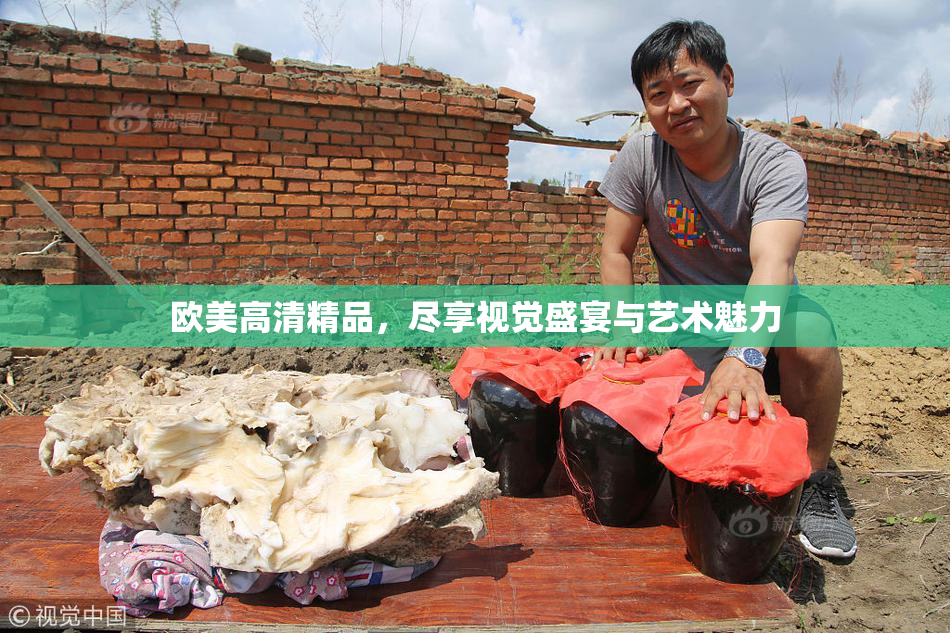 欧美高清精品，尽享视觉盛宴与艺术魅力